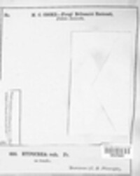 Hypocrea rufa image